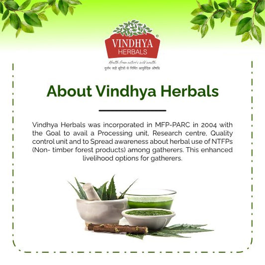 Unveiling the Magic of Vindhya Herbals